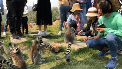 圖片21.jpg 圖片21.jpg